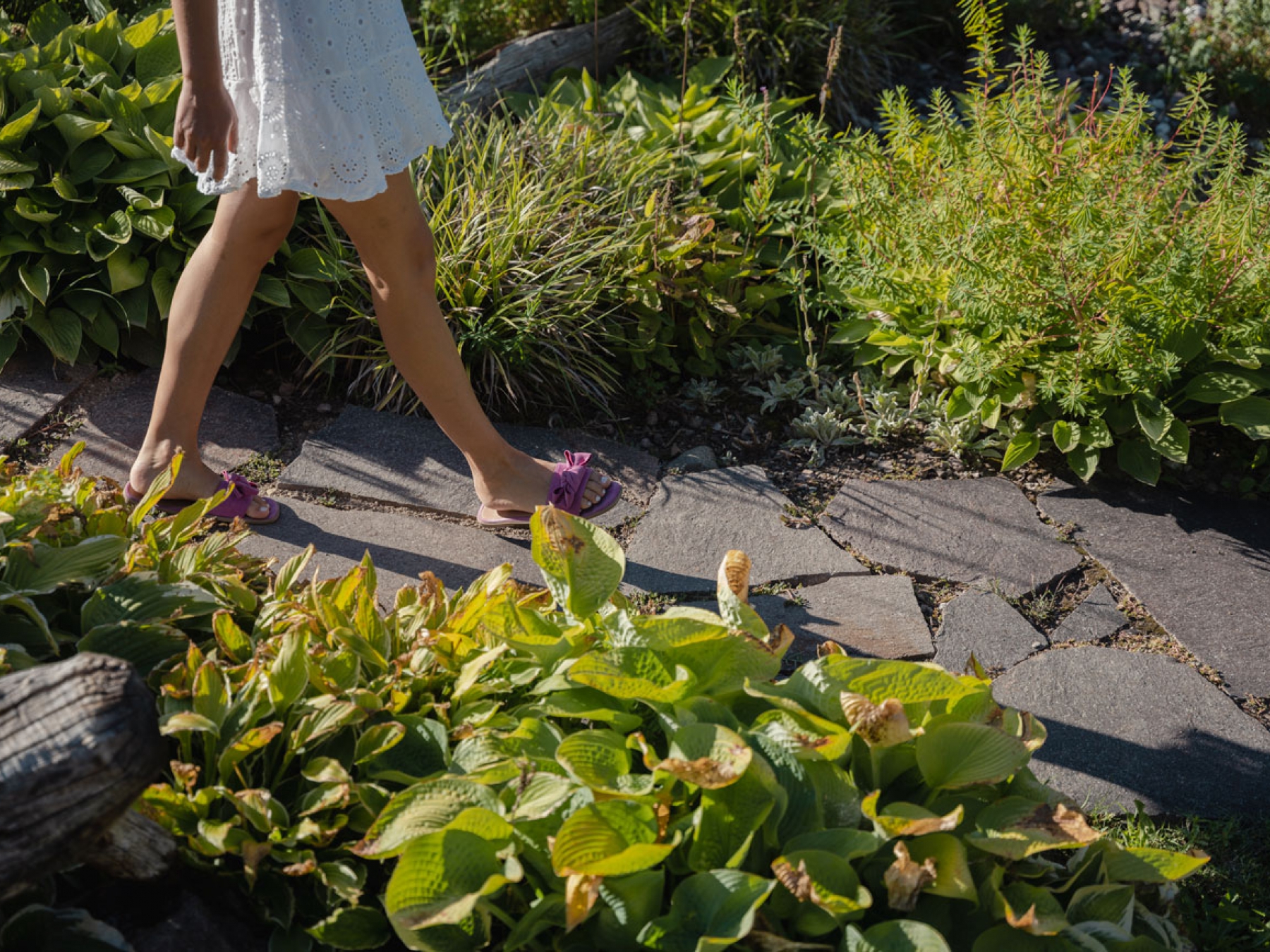 Zero kilometre products tasty treasures from the garden and the region