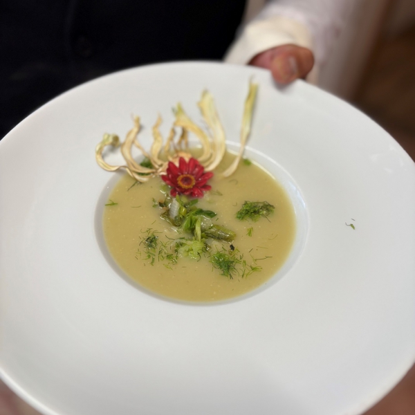 Hotel Mirabell Fenchel-Frühlingszwiebel-Suppe